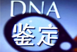 湖南DNA鉴定到哪里，湖南办理亲子鉴定收费标准是多少