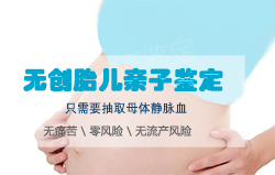 湖南怀孕6个月能办理胎儿亲子鉴定吗 湖南怀孕6个月能办理胎儿亲子鉴定吗