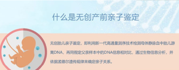 湖南怀孕16周需要如何做亲子鉴定,湖南孕期亲子鉴定如何收费